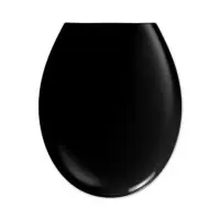 ABATTANT WC ESSENTIAL NOIR SENSEA Pas Cher