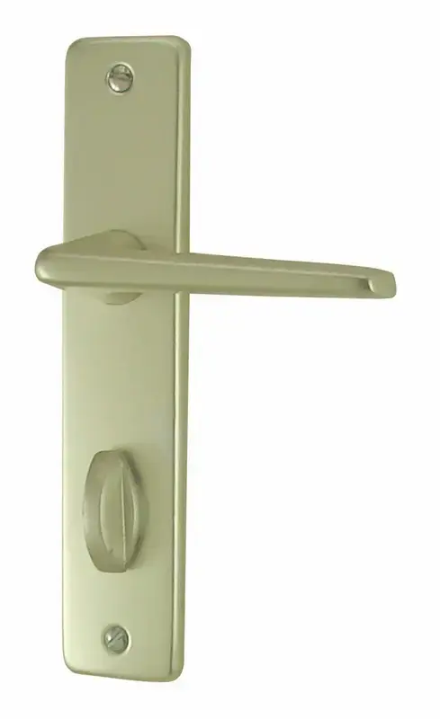 ENSEMBLE DE POIGNEES DE PORTE GETS CONDAMNATION ALU CHAMPAGNE 165 Réduction